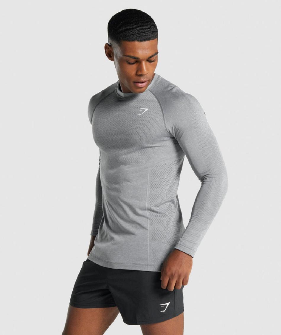 Long Sleeve Męskie Gymshark Vital Light Seamless Szare | PL 3679MQZ